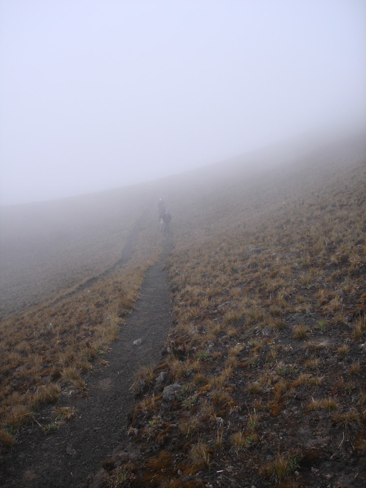 Am Weg zurück aus dem Nebel